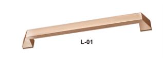L-01